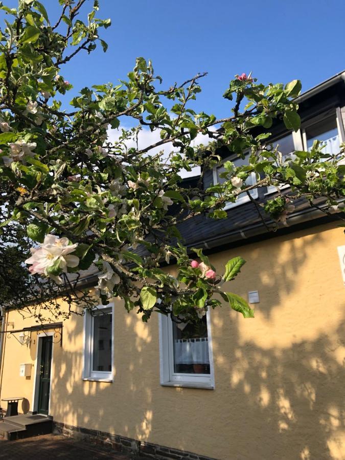 Am Apfelbaum, ein Ferienhaus im Hunsrück Kastellaun Exterior foto